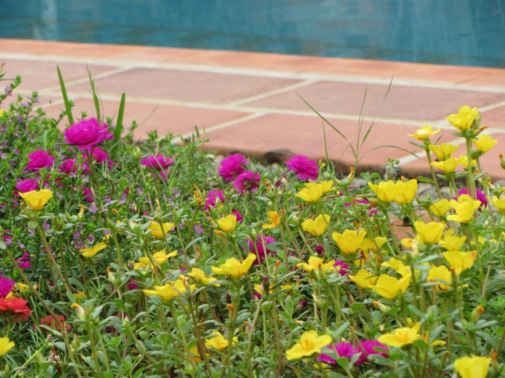 La Colorada Bed and Breakfast Zacualpan Esterno foto