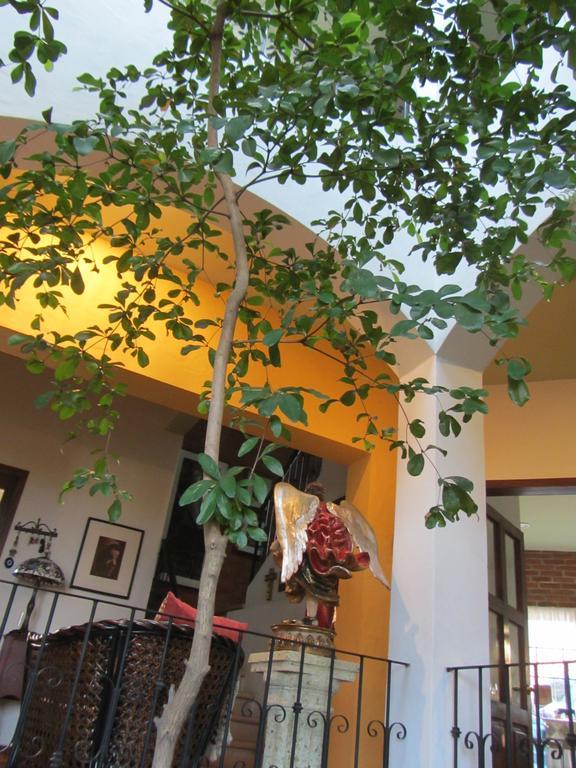 La Colorada Bed and Breakfast Zacualpan Esterno foto